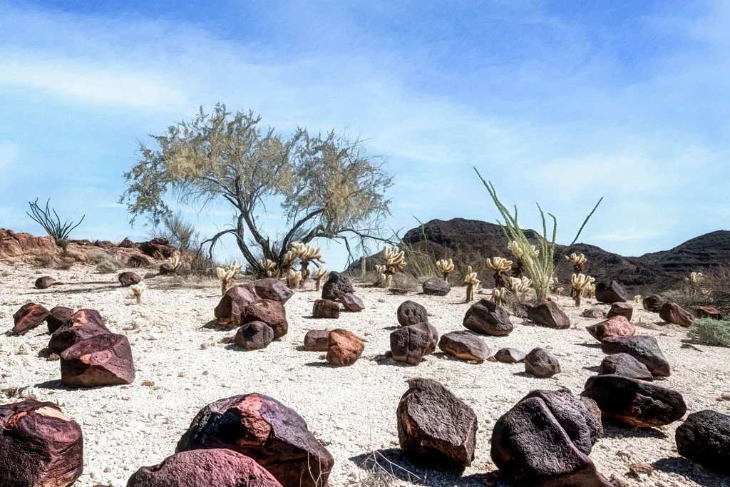 DESERT BOULDERS AND CACTUS UNDER BLUE SKY IN KOFA ARIZONA LANDSCAPE PHOTOGRAPHY