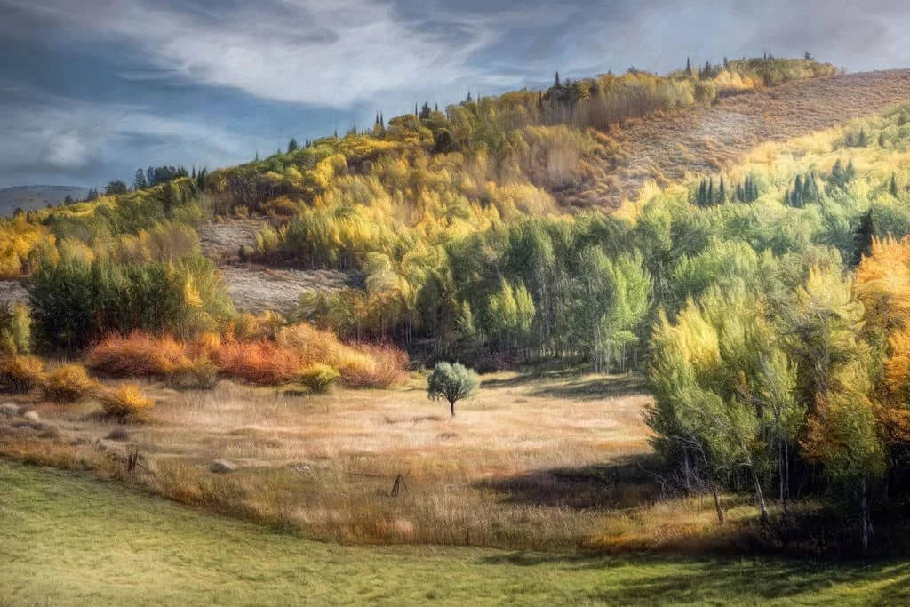 PAINTERLY AUTUMN LANDSCAPE OF A GOLDEN VALLEY WITH ASPEN TREES AND A SINGLE TREE STANDING IN A QUIET MEADOW UNDER A SOFT BLUE SKY