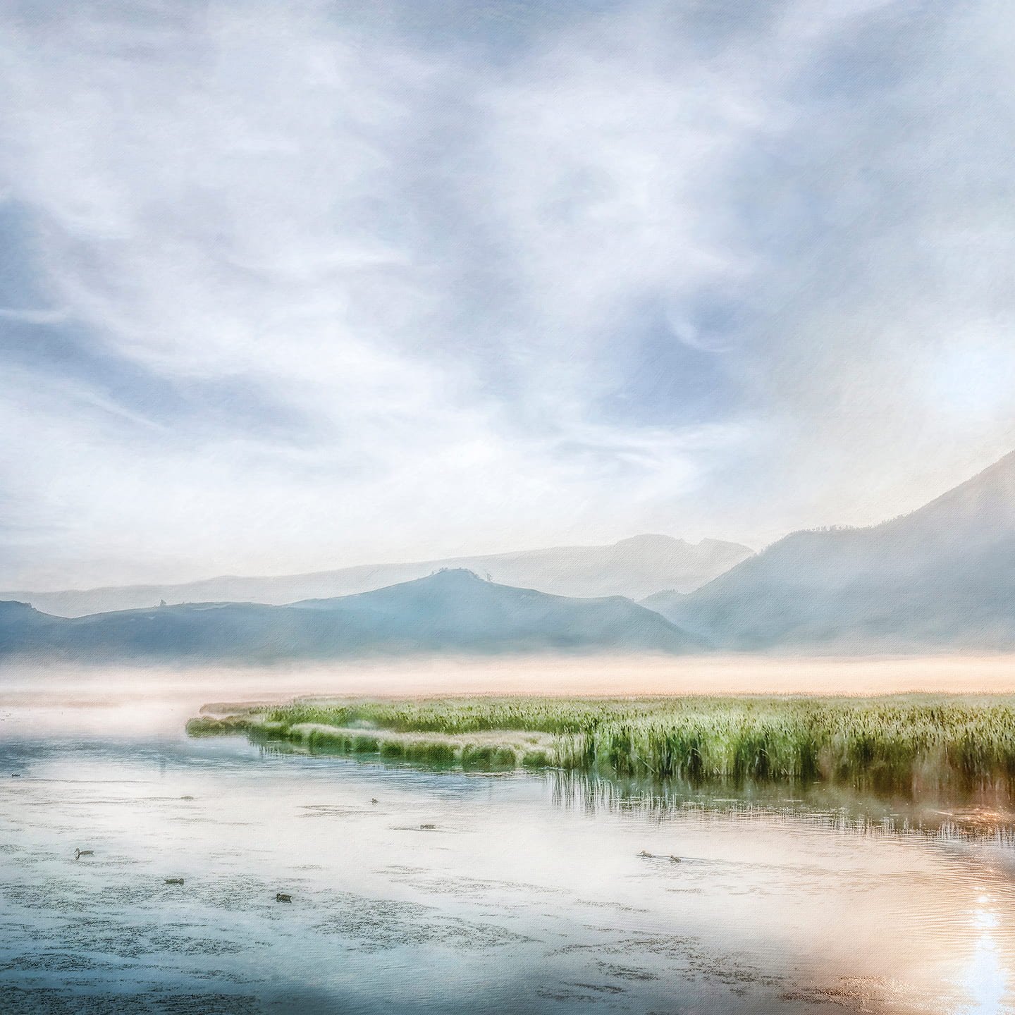 photo of the National Elk Refuge in the early morning, mist is rising off the water, the sun is rising over the mountains, ducks are swimming in the water, the scene is very peaceful.