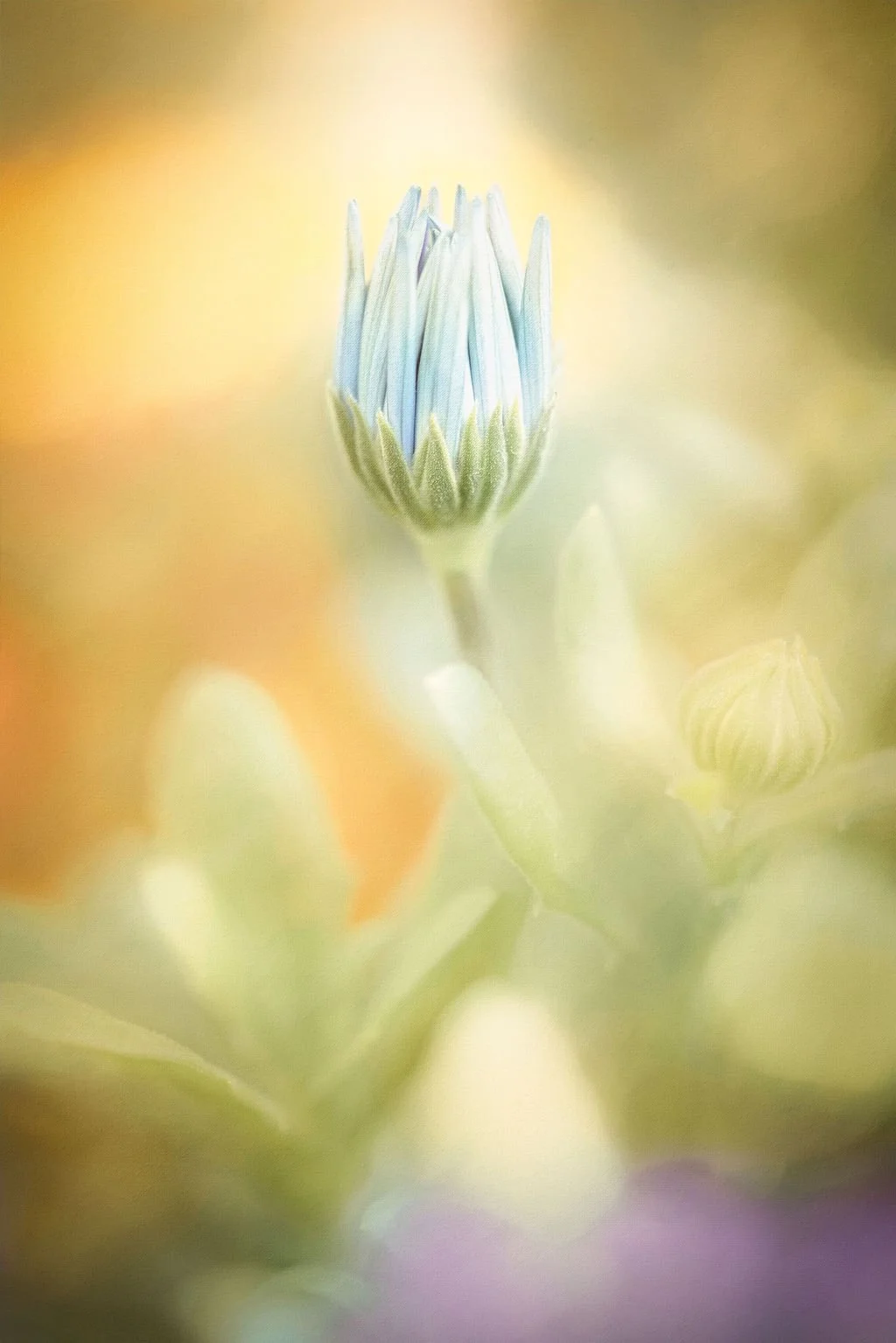 SOFT BLUE FLOWER BUD IN DREAMY SPRING GARDEN