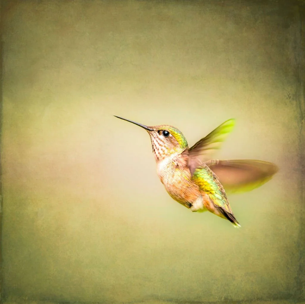 A MOMENT SUSPENDED