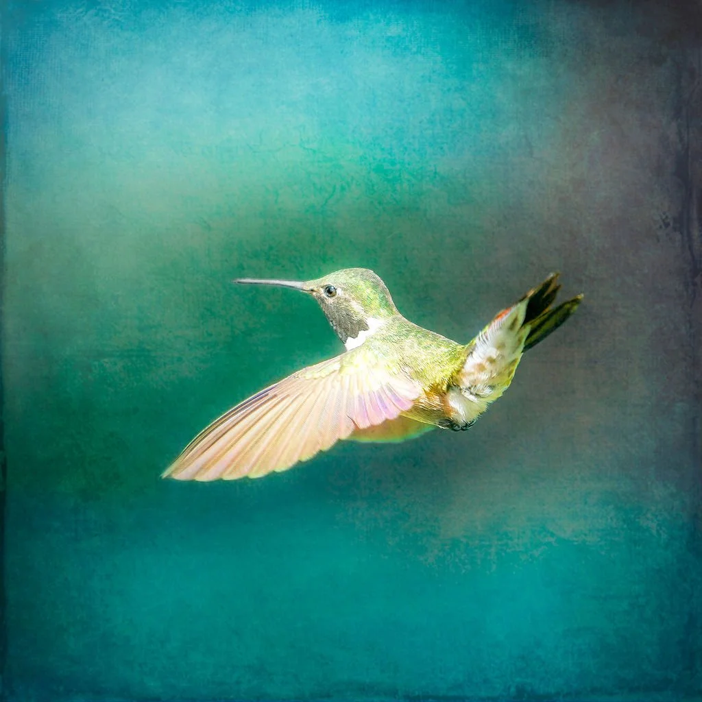 VIBRANT GREEN HUMMINGBIRD IN FLIGHT