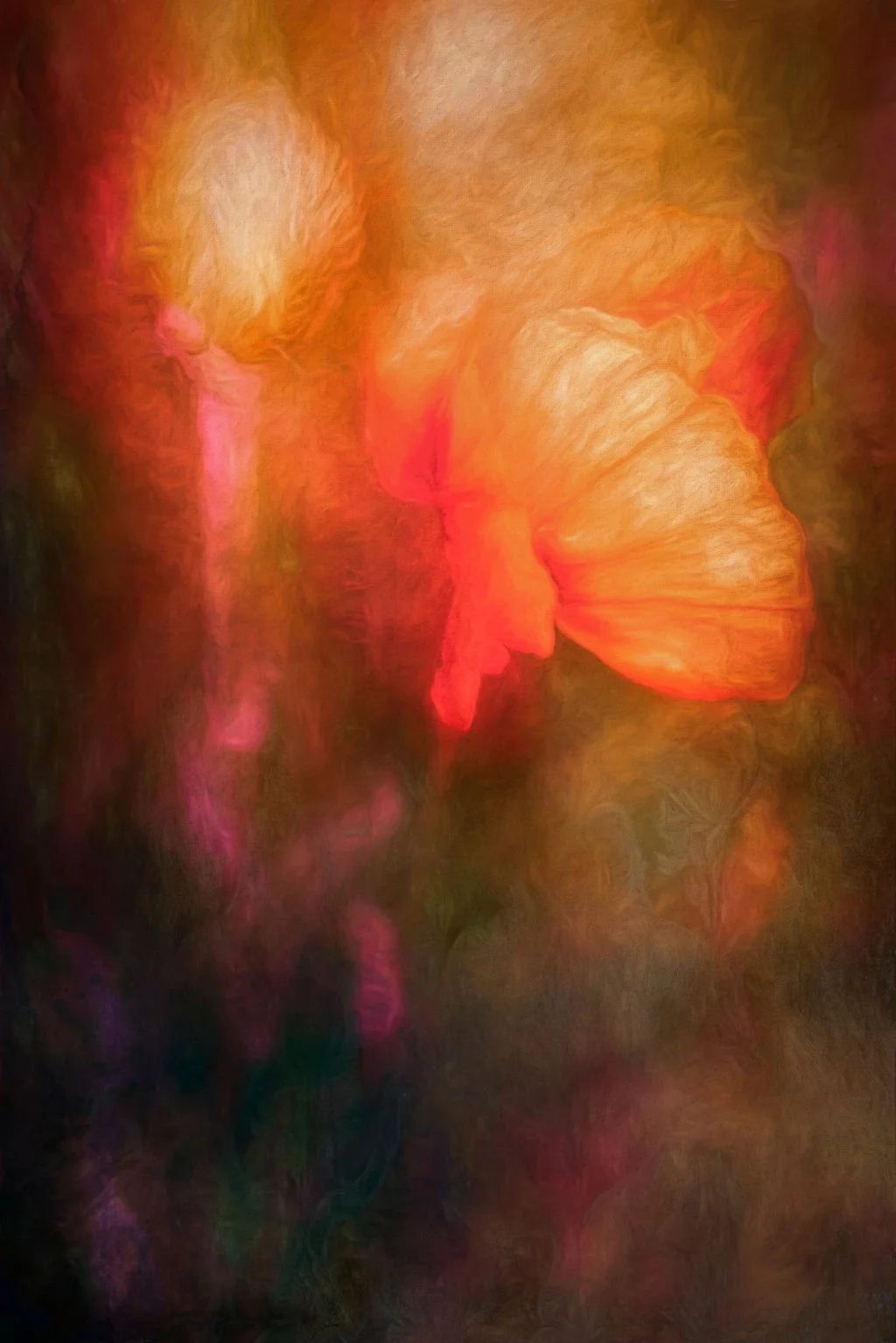 ABSTRACT ORANGE POPPY BLOOM IN GLOWING LIGHT WITH VIBRANT IMPRESSIONISTIC COLORS