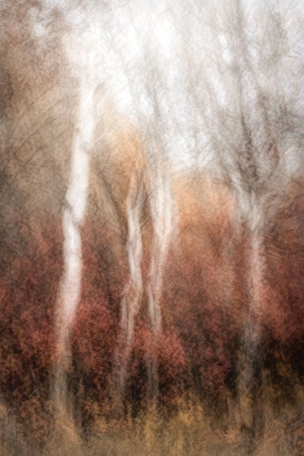 AUTUMN ASPEN TREES WITH RICH RED FOLIAGE ABSTRACT LANDSCAPE