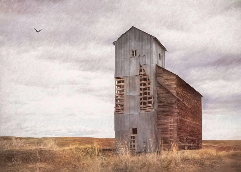Weathered grain elevator on open plains with dry grass and soft neutral tones in a painterly style.