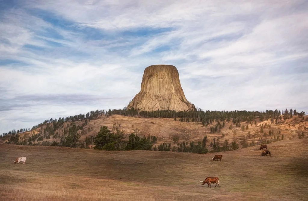 Devil'sTowerwithCattle1copy.jpg