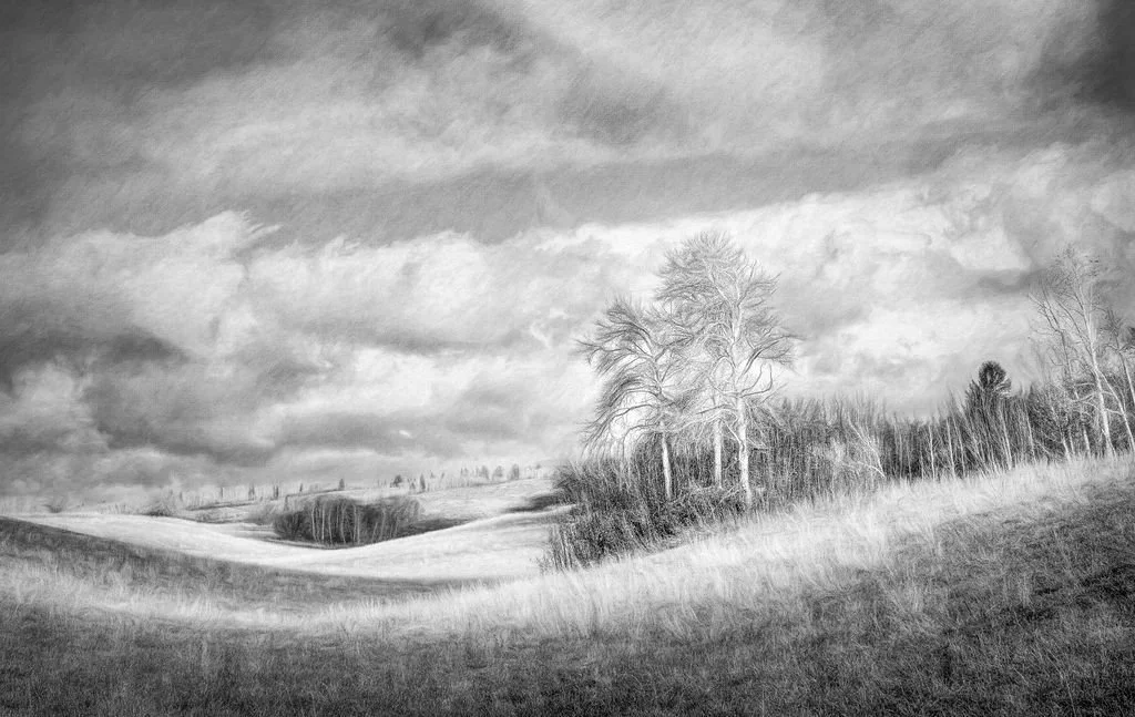 The Stillness Between Seasons - A Black and White Landscape