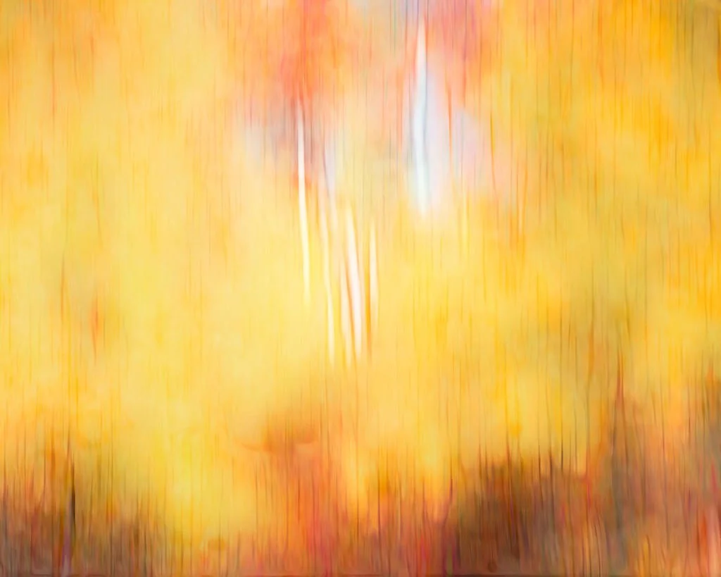 VIBRANT GOLDEN AUTUMN ABSTRACT PHOTO WITH ASPEN TREES AND BRIGHT FALL COLORS