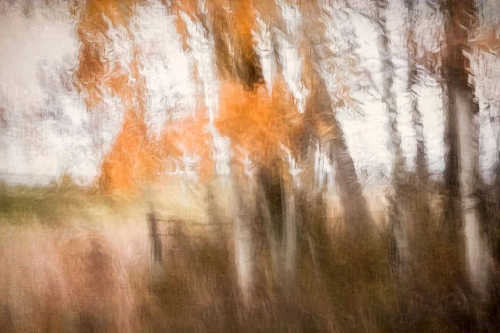 Abstract autumn forest with golden leaves and blurred trees created using intentional camera movement, featuring soft painterly textures and warm tones.