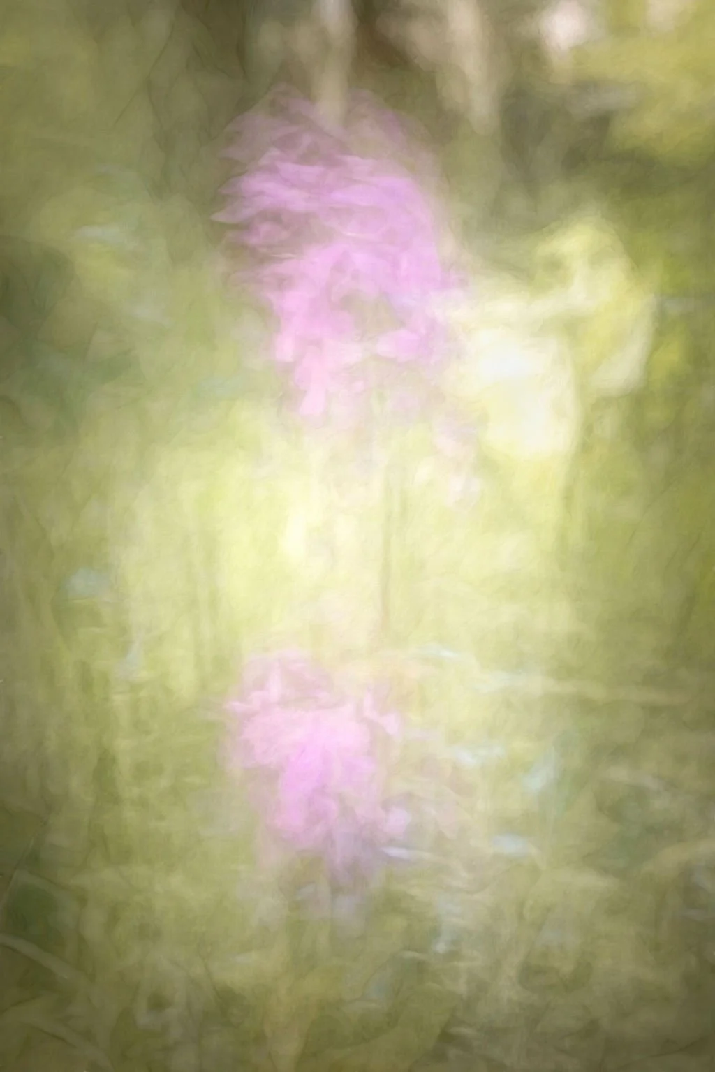 SOFT AWAKENING
