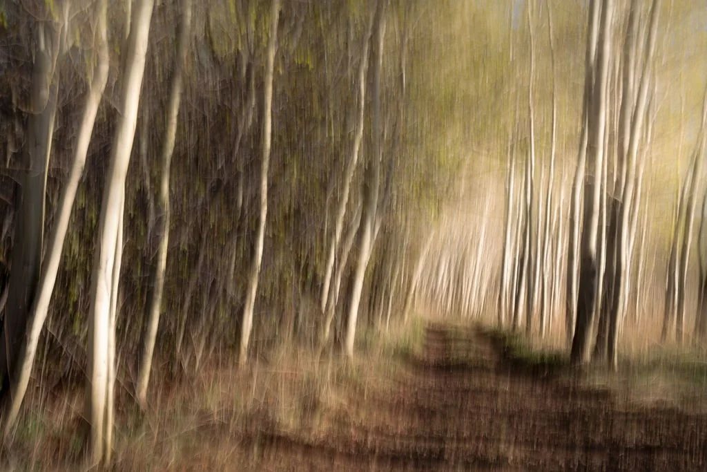 Abstract Landscapes Photo Gallery