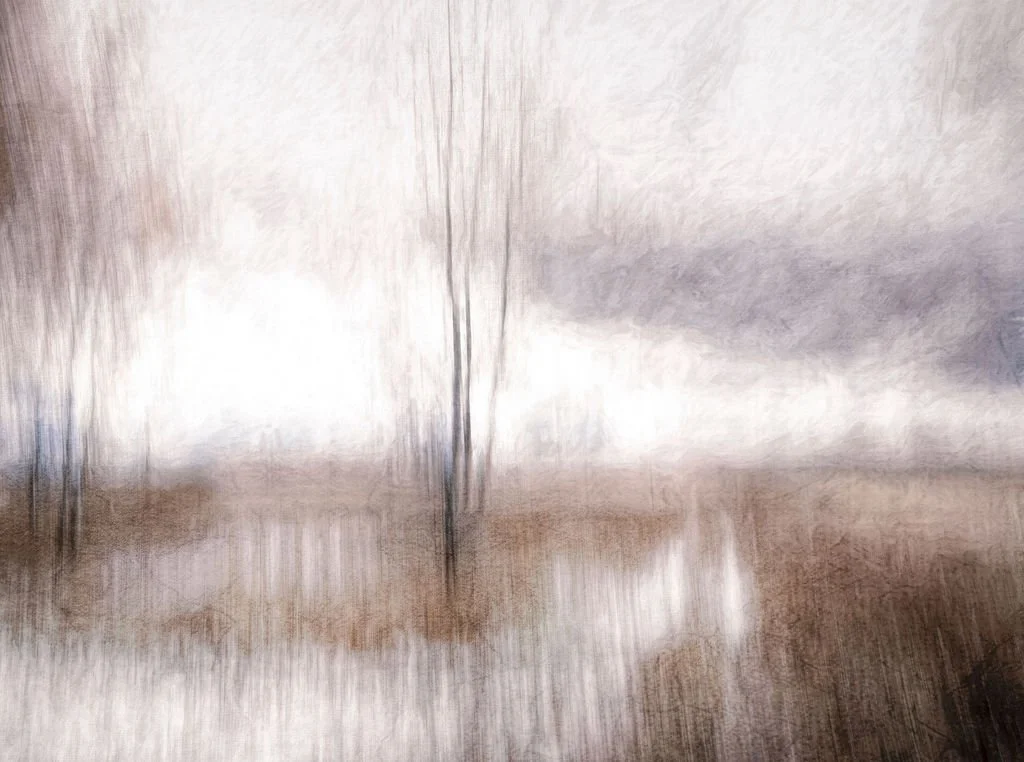 WINTER TREES ABSTRACT LANDSCAPE PHOTOGRAPHY PRINT IN SOFT EARTH TONES