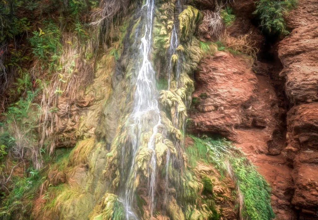 _DSC3639-Edit-1-1-1-1-1-Editcopy.jpg