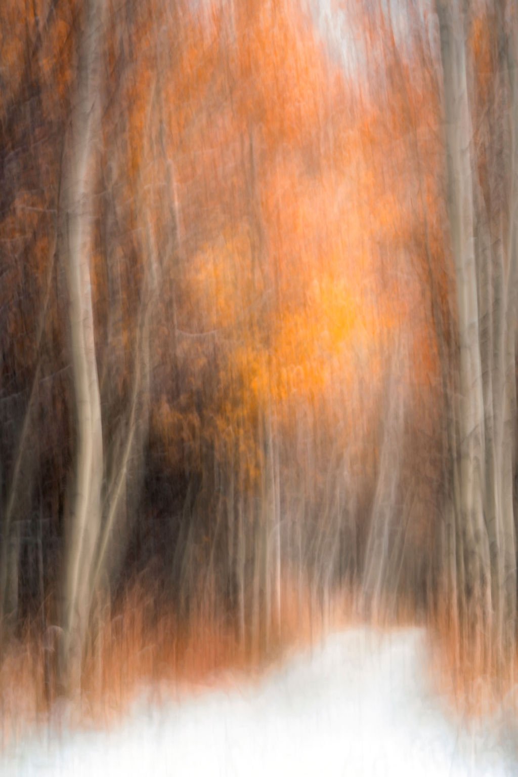 MYSTICAL FOREST PATH ABSTRACT PHOTO WITH SNOW COVERED GROUND, AUTUMN TREES AND DREAMY PAINTERLY STYLE