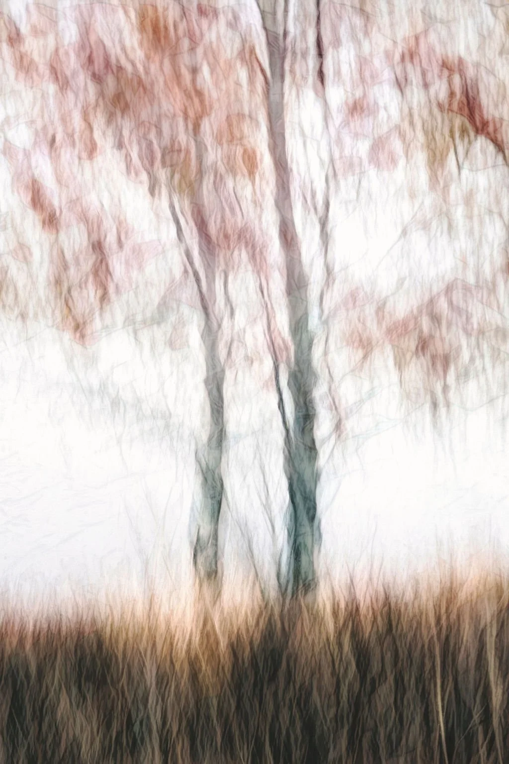 ABSTRACT AUTUMN TREES PHOTO WITH PAINTERLY TEXTURE