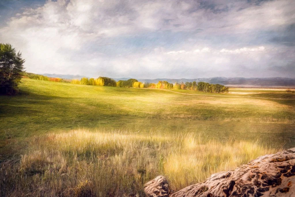 AUTUMN TREES AND OPEN MEADOW UNDER DRAMATIC MORNING SKY IN WYOMING