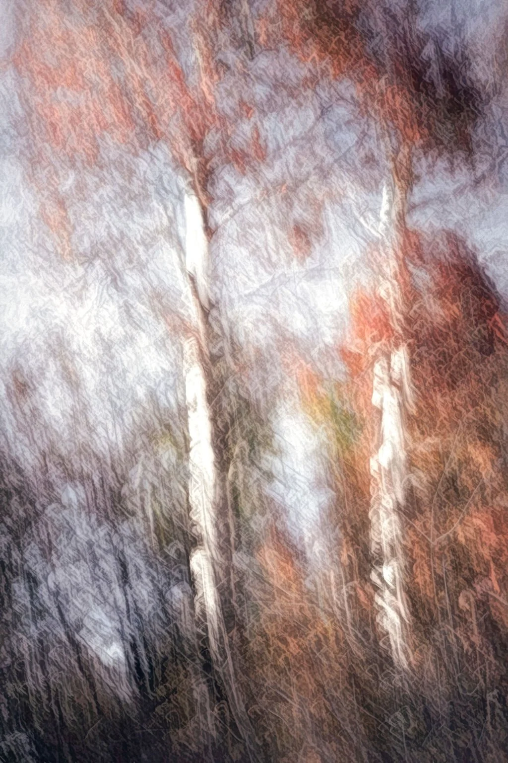 BEAUTIFUL-FALL-FOLIAGE-ABSTRACT-RE-EDIT-16-BITScopy.jpg