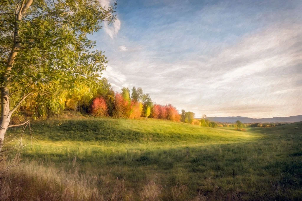 COLORFUL AUTUMN TREES ON GREEN HILLSIDE IN WYOMING