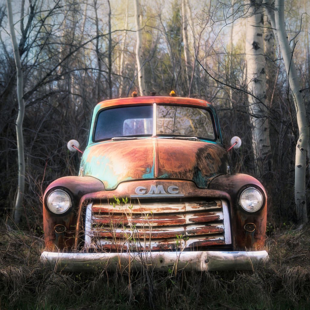Rustic old GMC truck front view with weathered patina, surrounded by tall grasses and slender trees, captured in soft, painterly light.