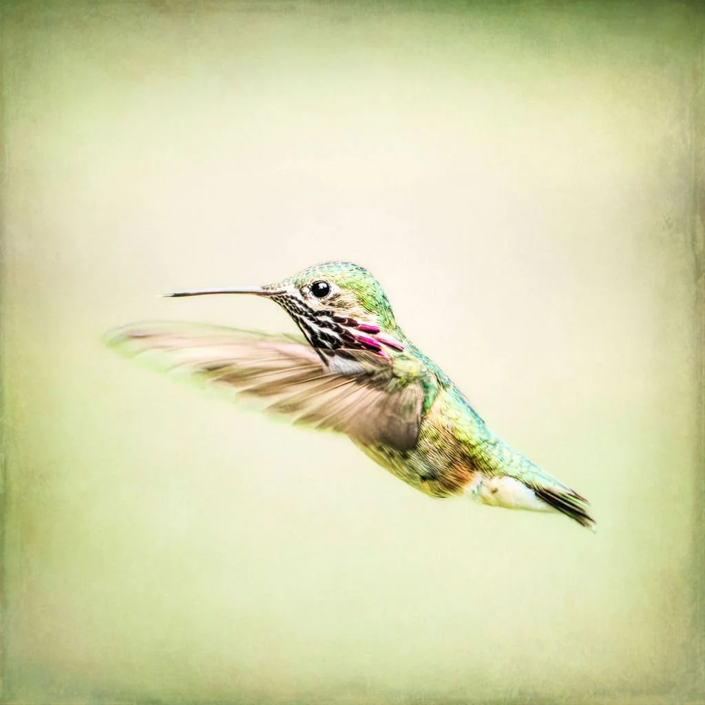 GRACE IN FLIGHT