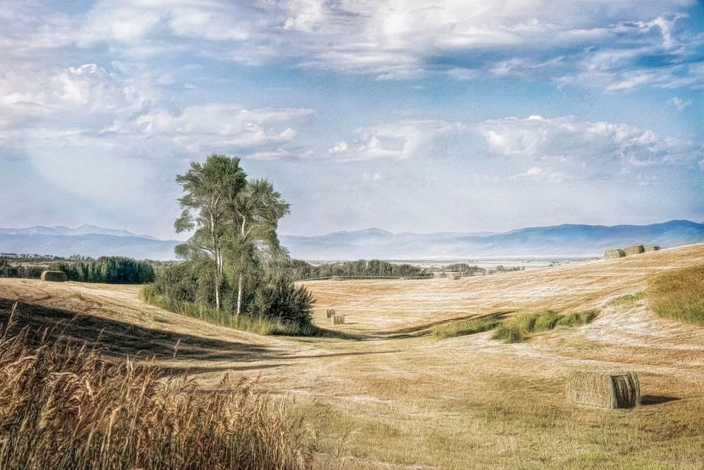 HARVEST ON A WYOMING RANCH