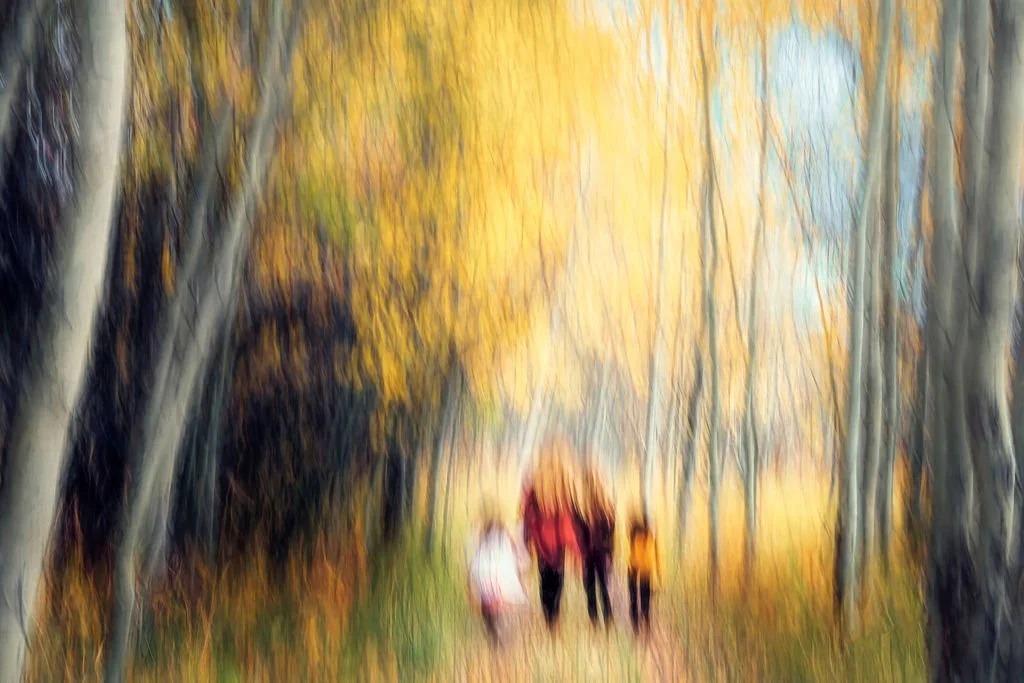AUTUMN STROLL THROUGH A GLOWING FOREST