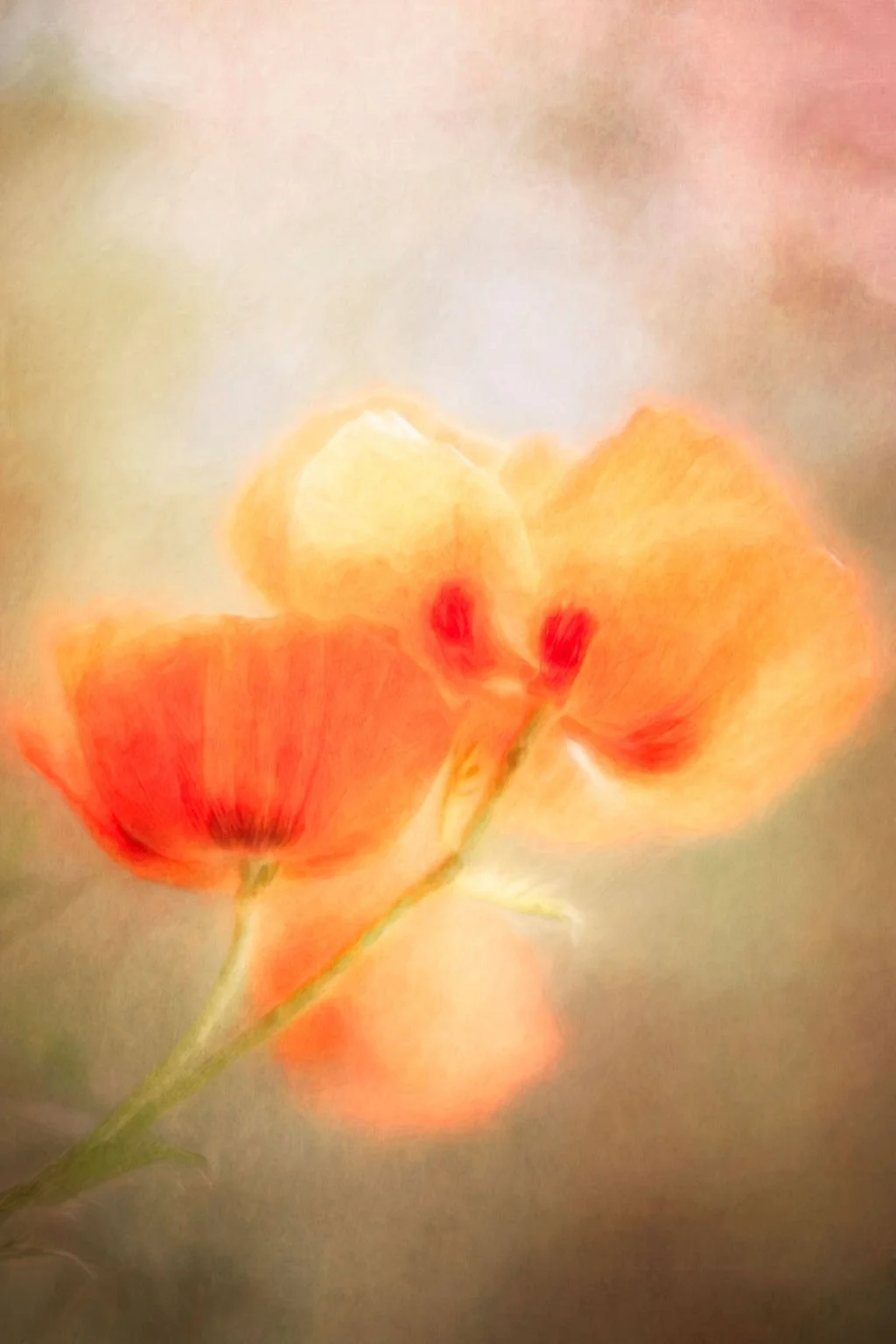 PAINTED BY LIGHT