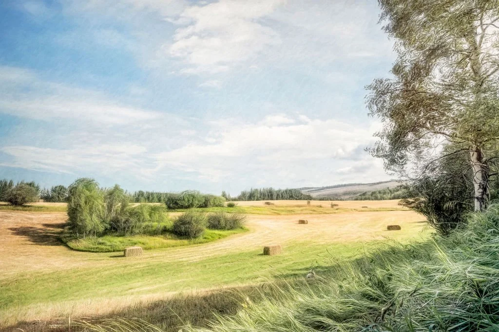 WYOMING COUNTRYSIDE WITH ROLLING FIELDS, TREES, AND HAY BALES 