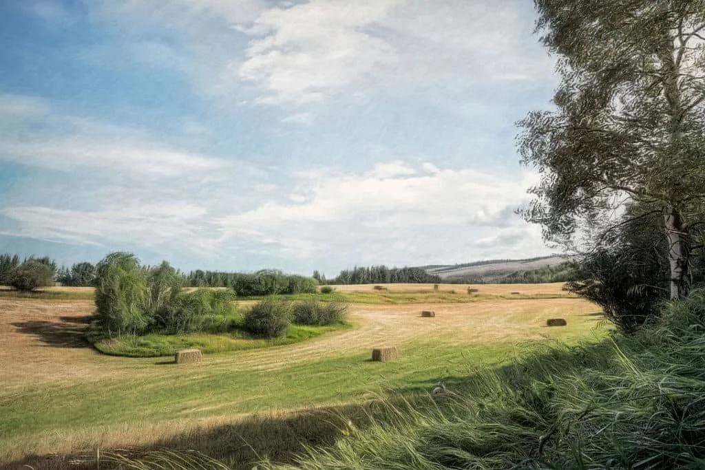 WYOMING COUNTRYSIDE WITH ROLLING FIELDS, TREES, AND HAY BALES
