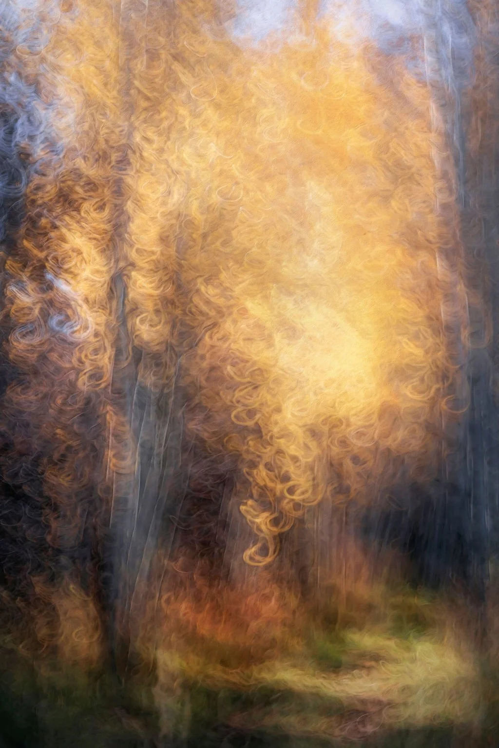 GOLDEN AUTUMN ASPEN TREE ABSTRACT PHOTO WITH SWIRLING LIGHT AND FOREST PATH