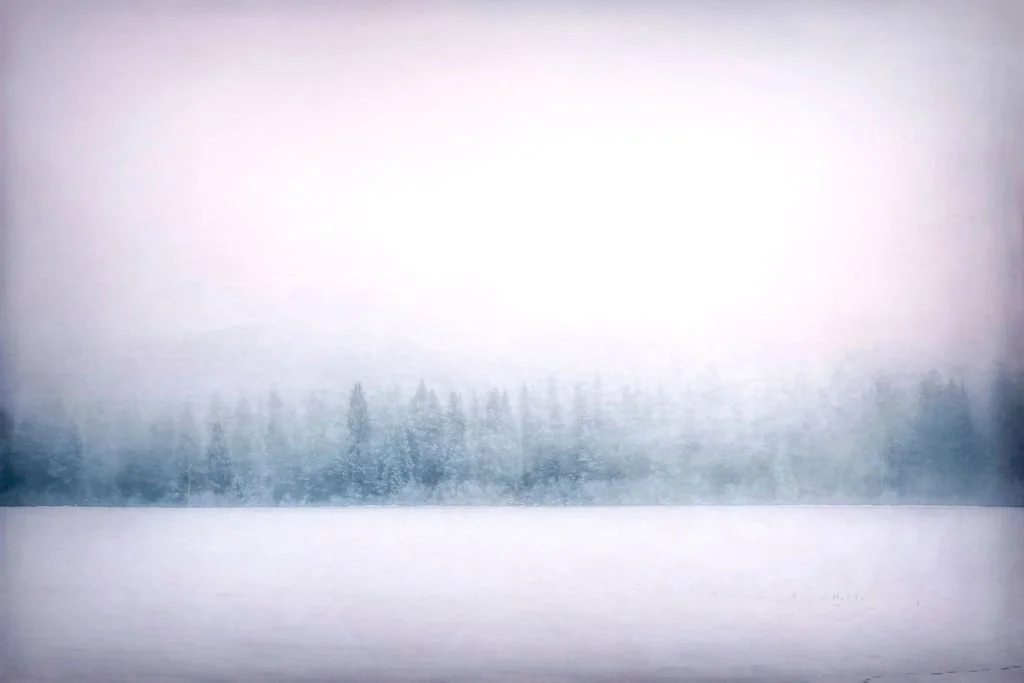 WINTER FOREST LANDSCAPE PHOTO WITH SNOW-COVERED TREES AND SOFT MISTY LIGHT IN A TRANQUIL SCENE