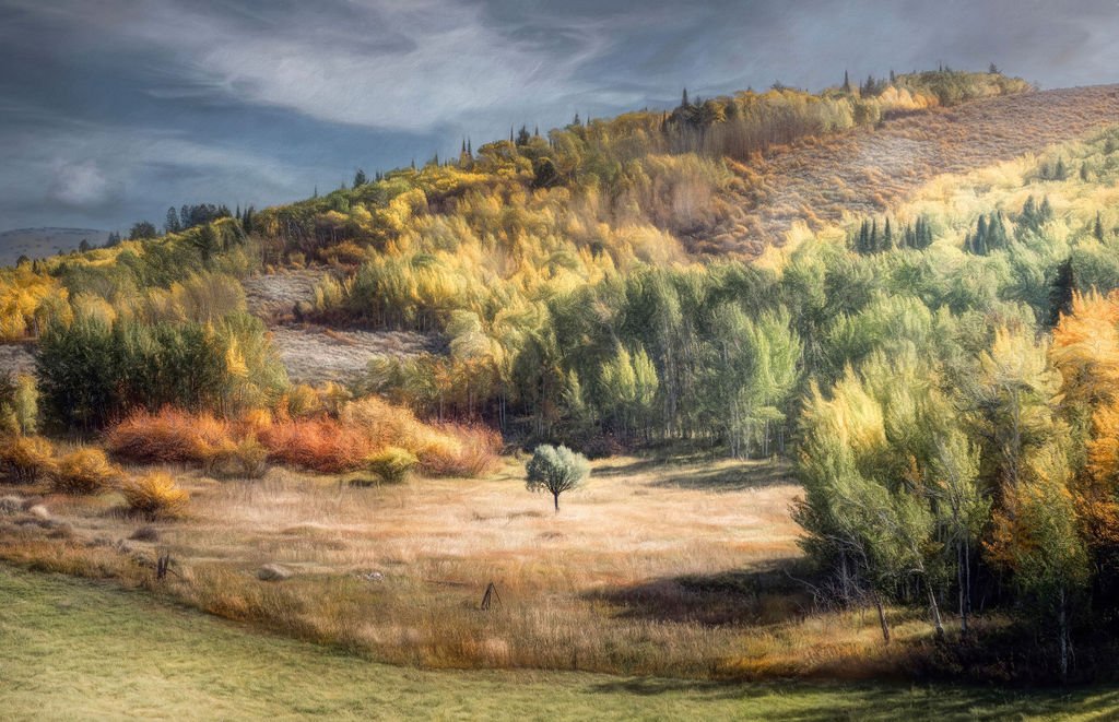 EARLY-MORNING-HILLSIDE-IN-AUTUMN-RE-EDITcopy.jpg