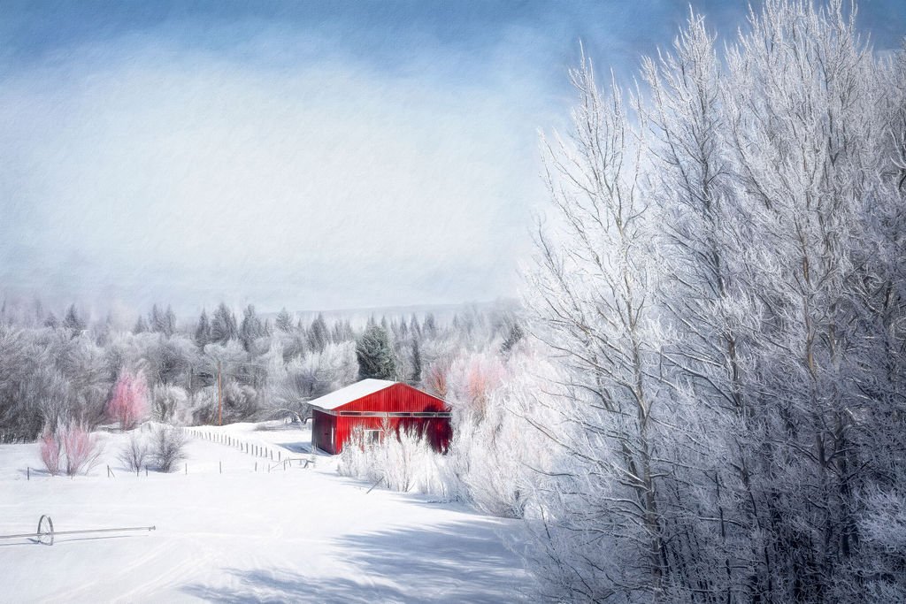 Red Barn in Snowy Wyoming Landscape with Frosted Trees