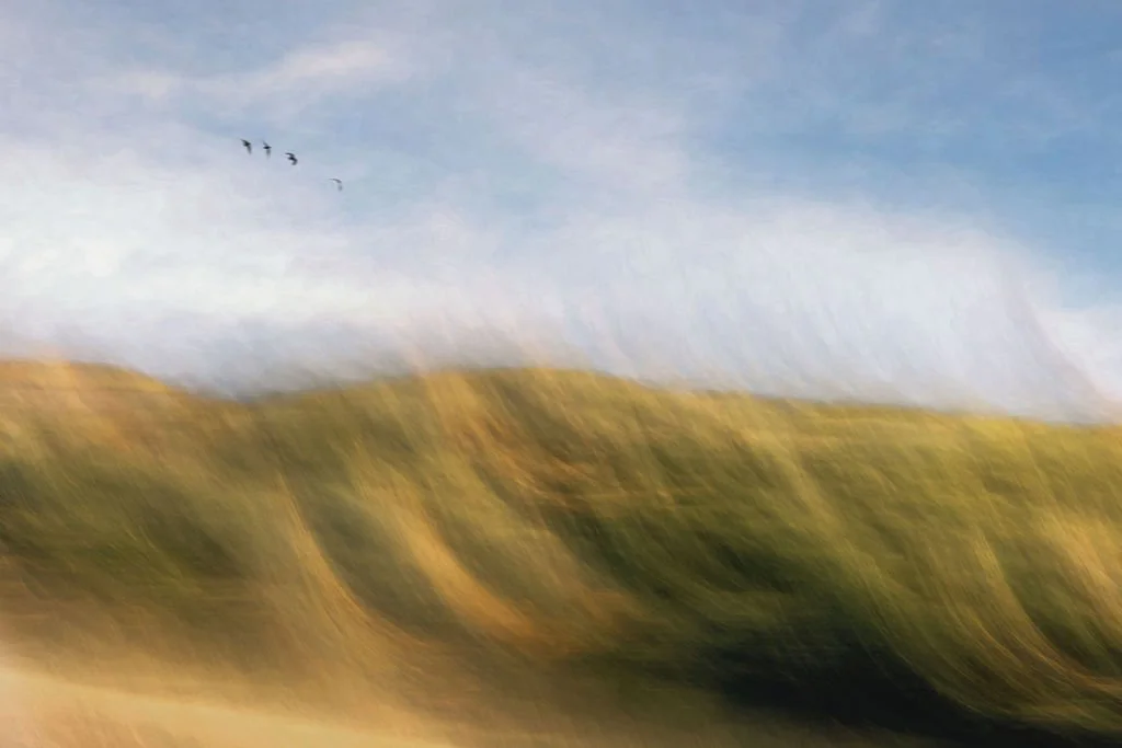 ABSTRACT GRASSY LANDSCAPE PHOTO WITH MIGRATING BIRDS, GOLDEN HILLS, AND BLUE SKY