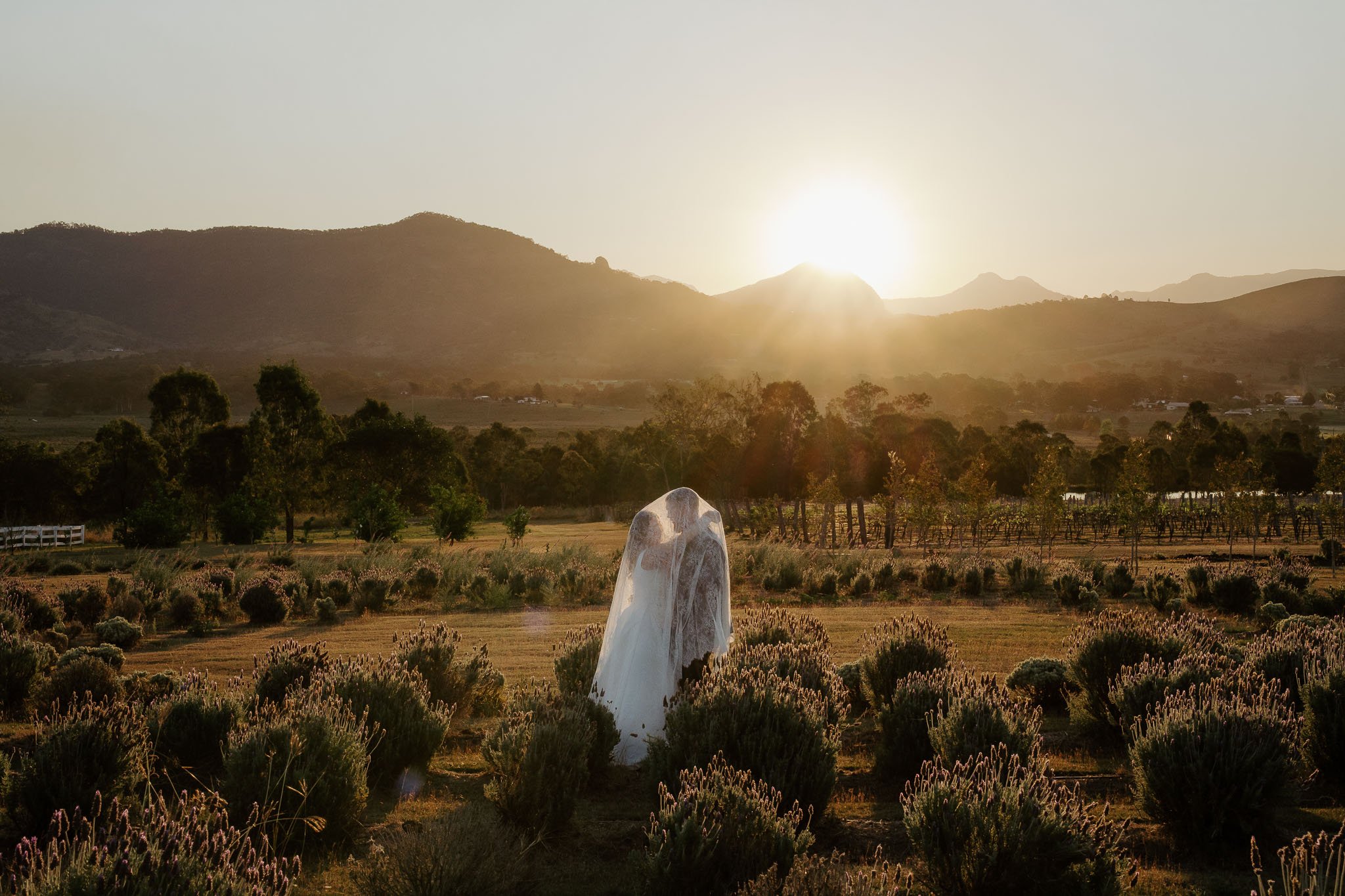 Lavender Farm Editorial Wedding-18.jpg