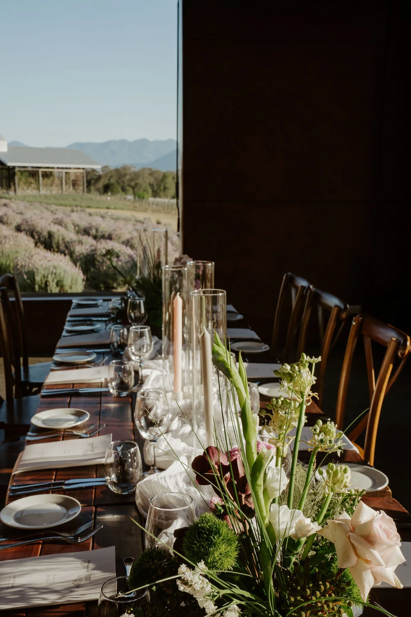 Lavender Farm Editorial Wedding-26.jpg