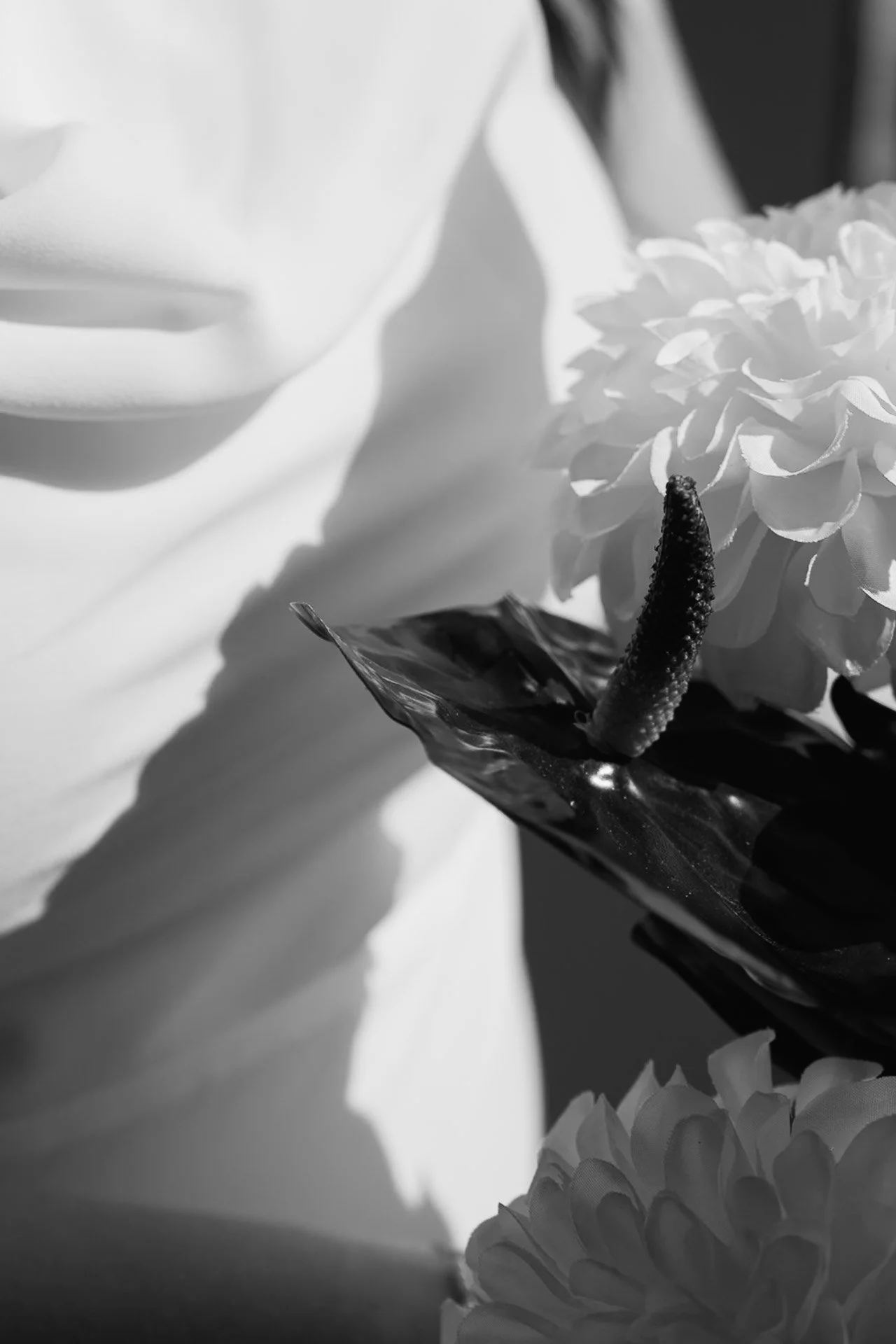 Brisbane-city-elopement-3.jpg