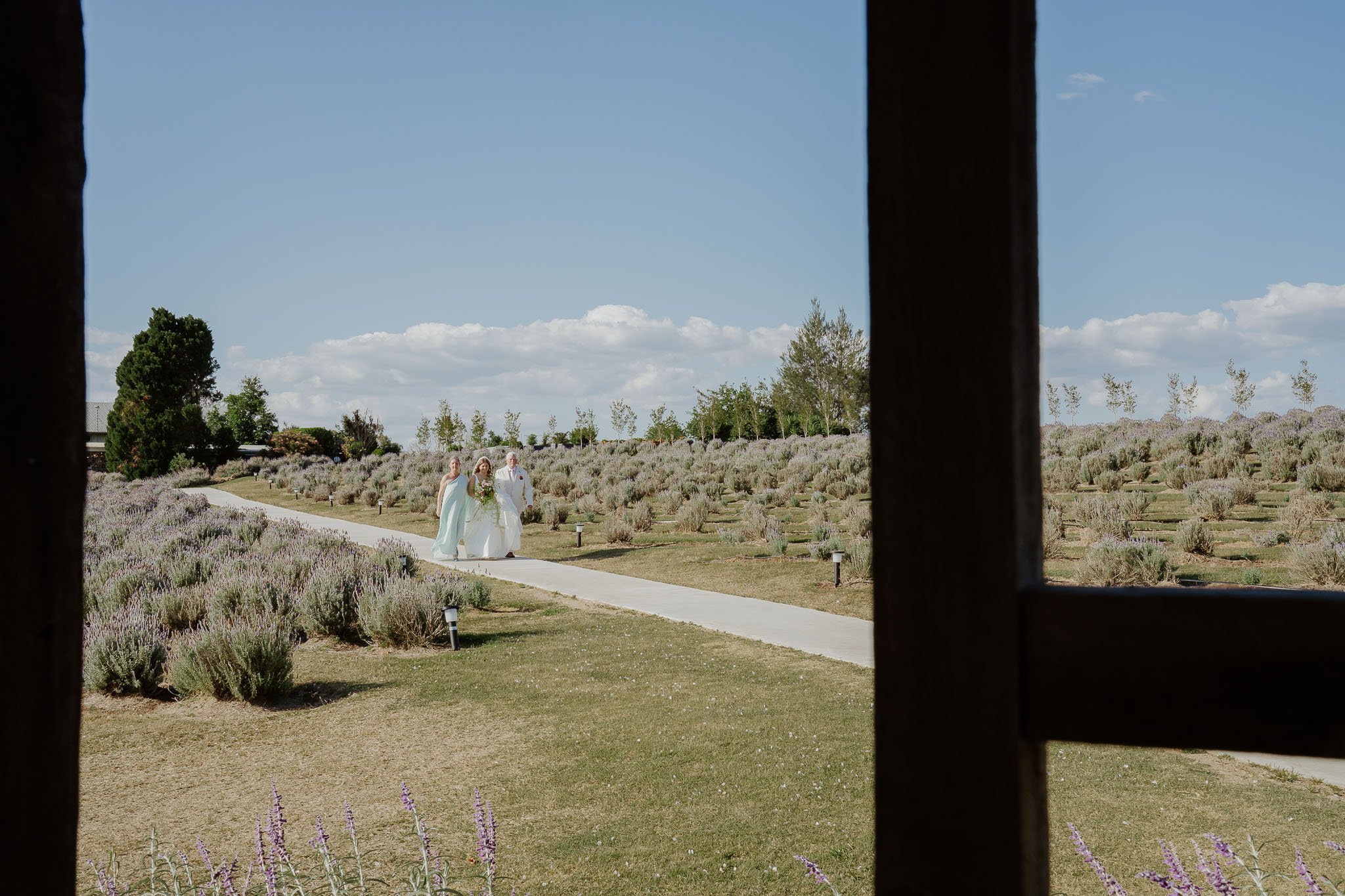 Lavender Farm Editorial Wedding-51.jpg