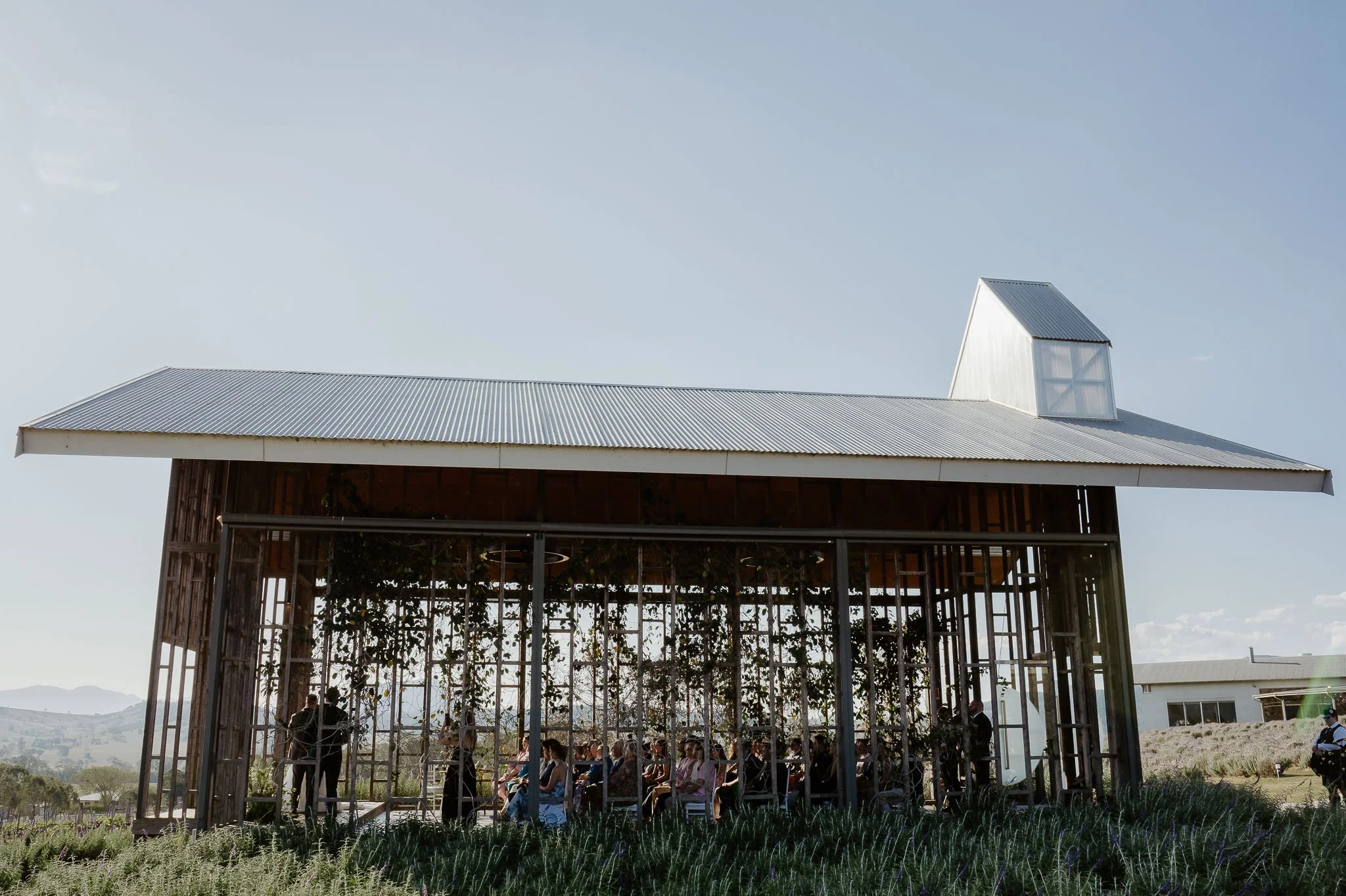 Lavender Farm Editorial Wedding-44.jpg