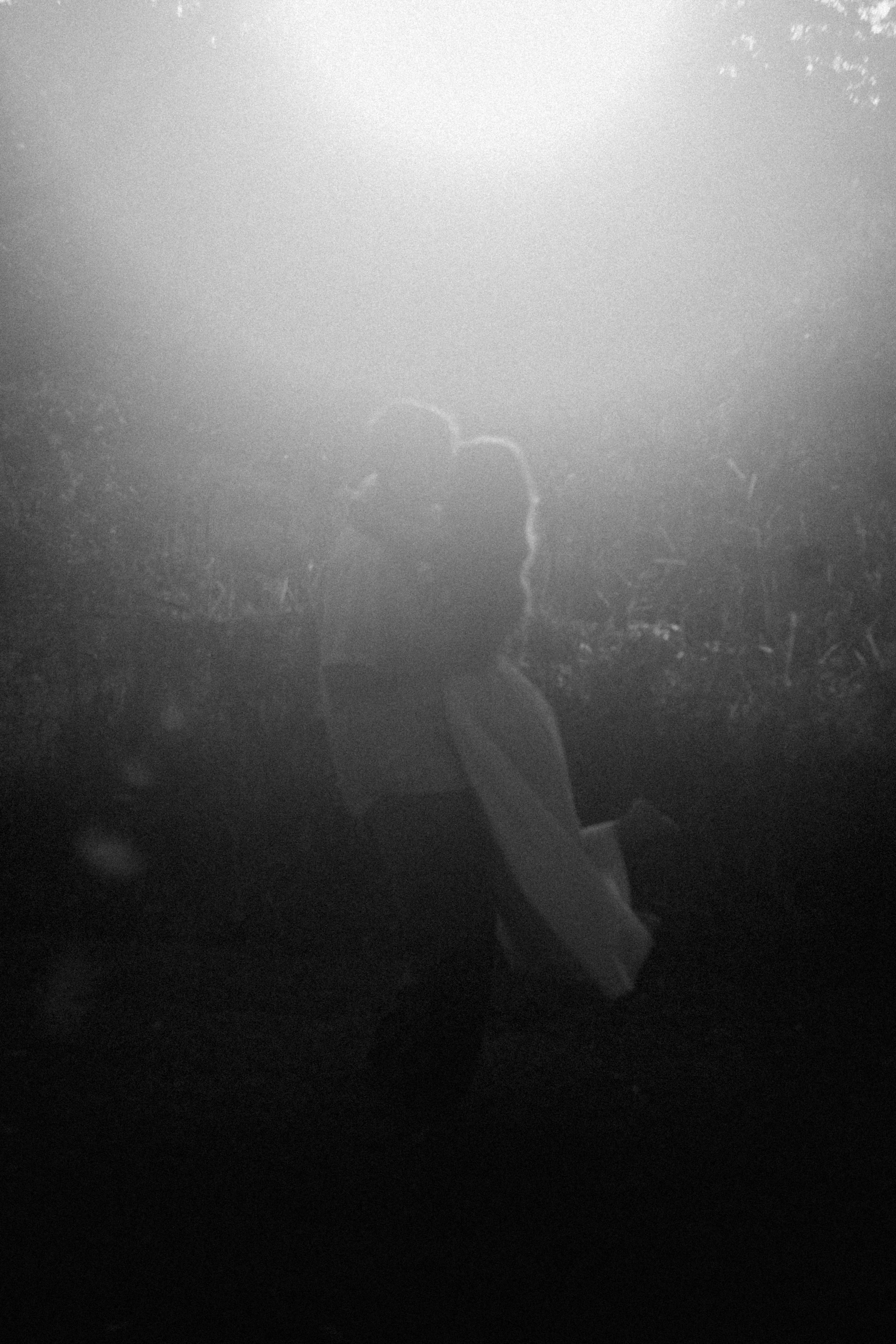 Romantic Field Engagement Brisbane-19.jpg