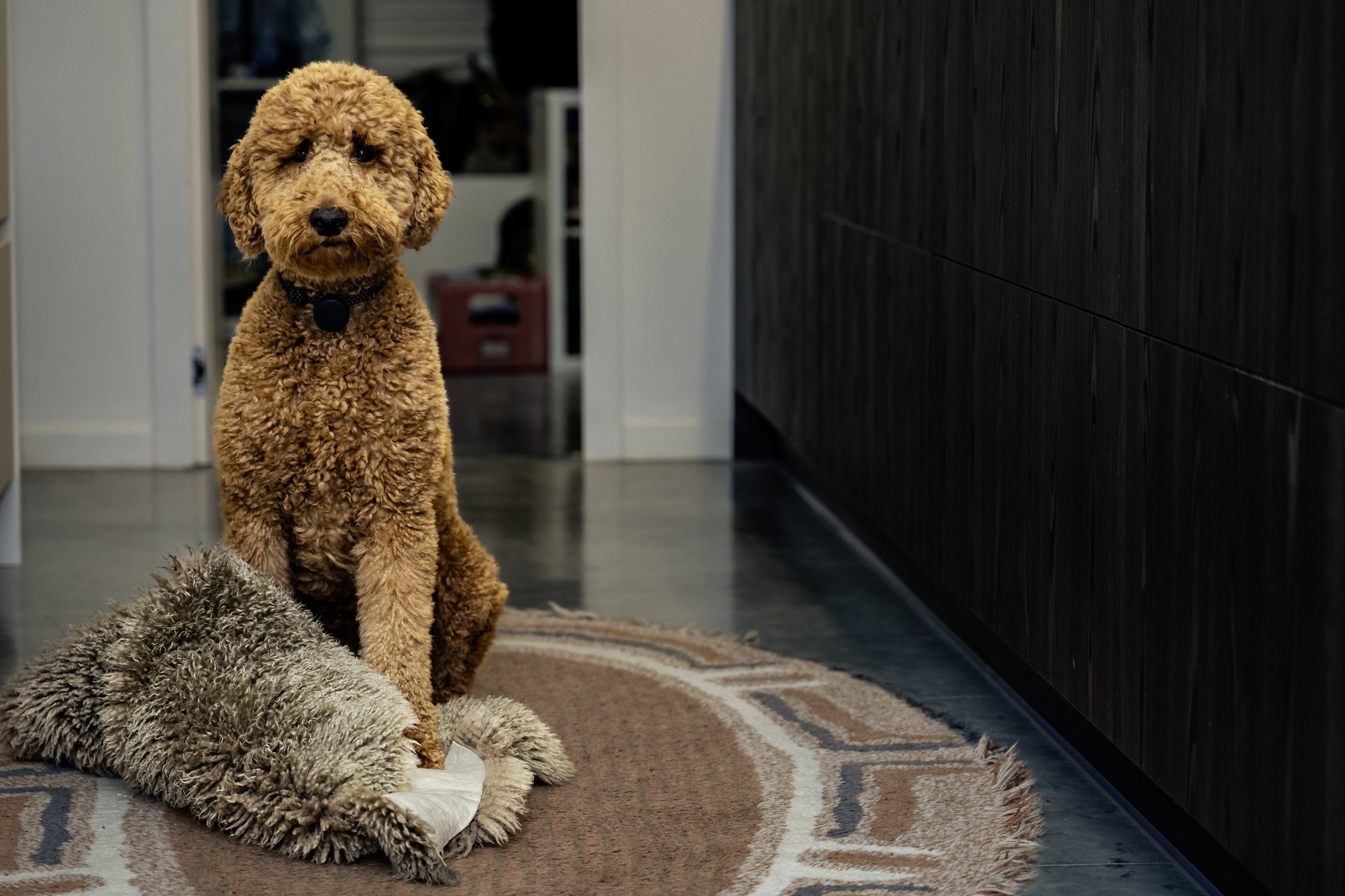 sneak preview (100 van 7).jpg