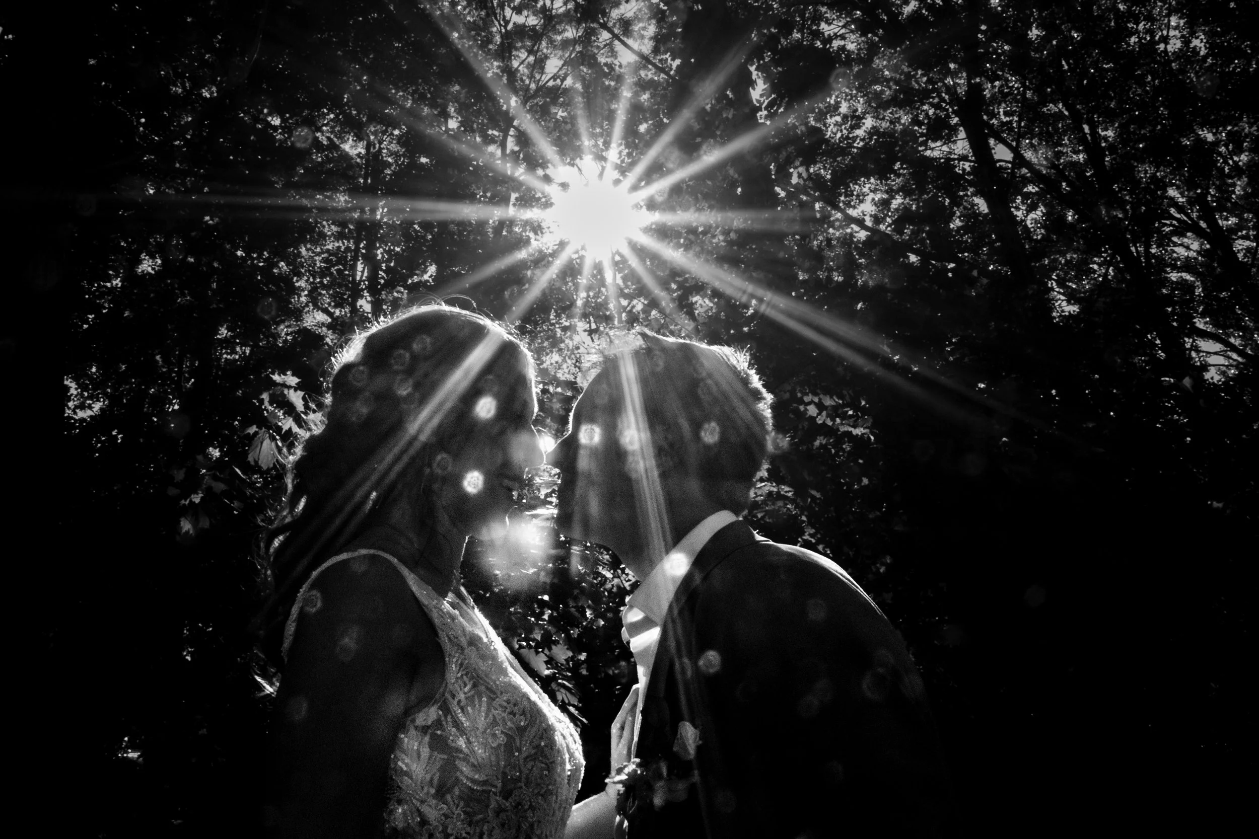 Een silhouet van een koppel die op hun bruiloft dicht bij elkaar staat, met de zon die door de bomen schijnt en een lichtstralen effect creëert.