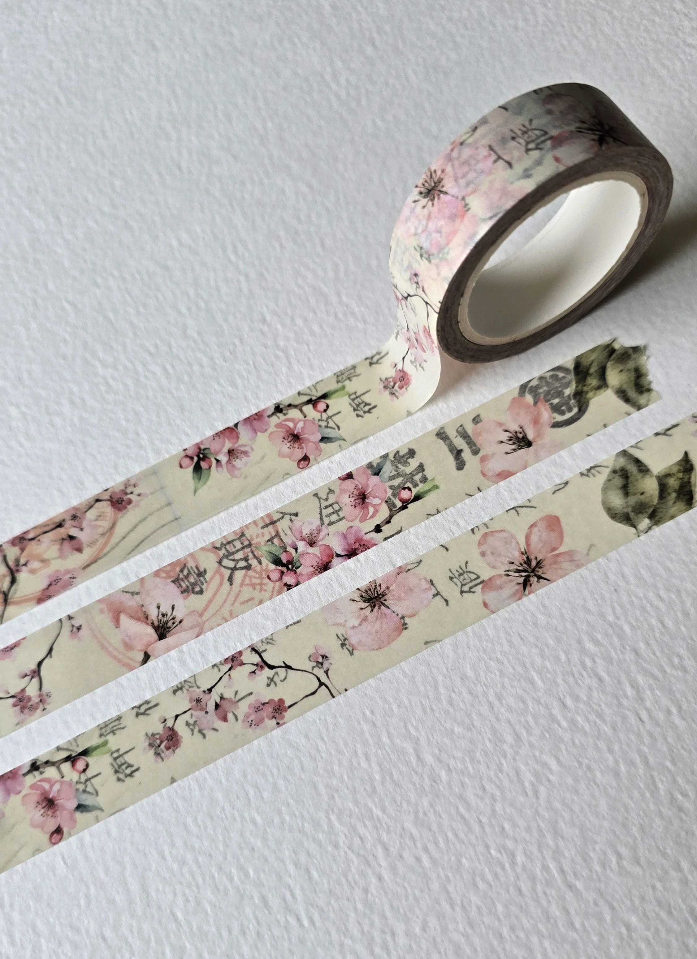 fleurs de cerisier 003 1.jpg