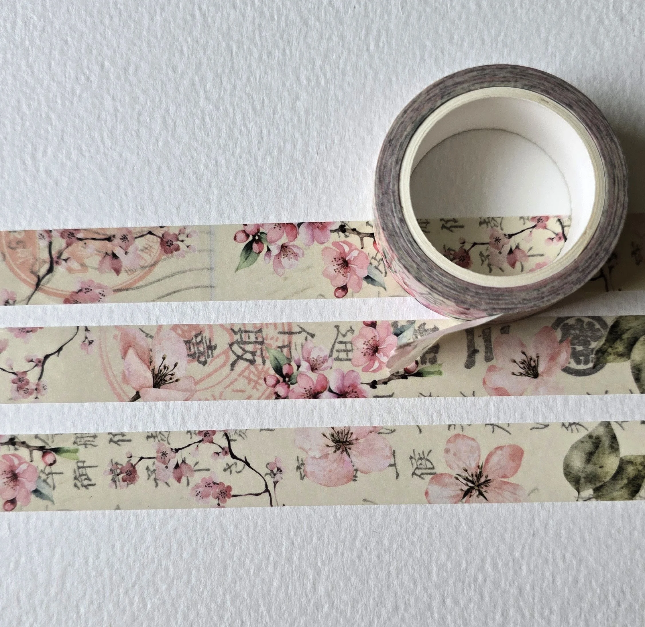 fleurs de cerisier 003 2.jpg