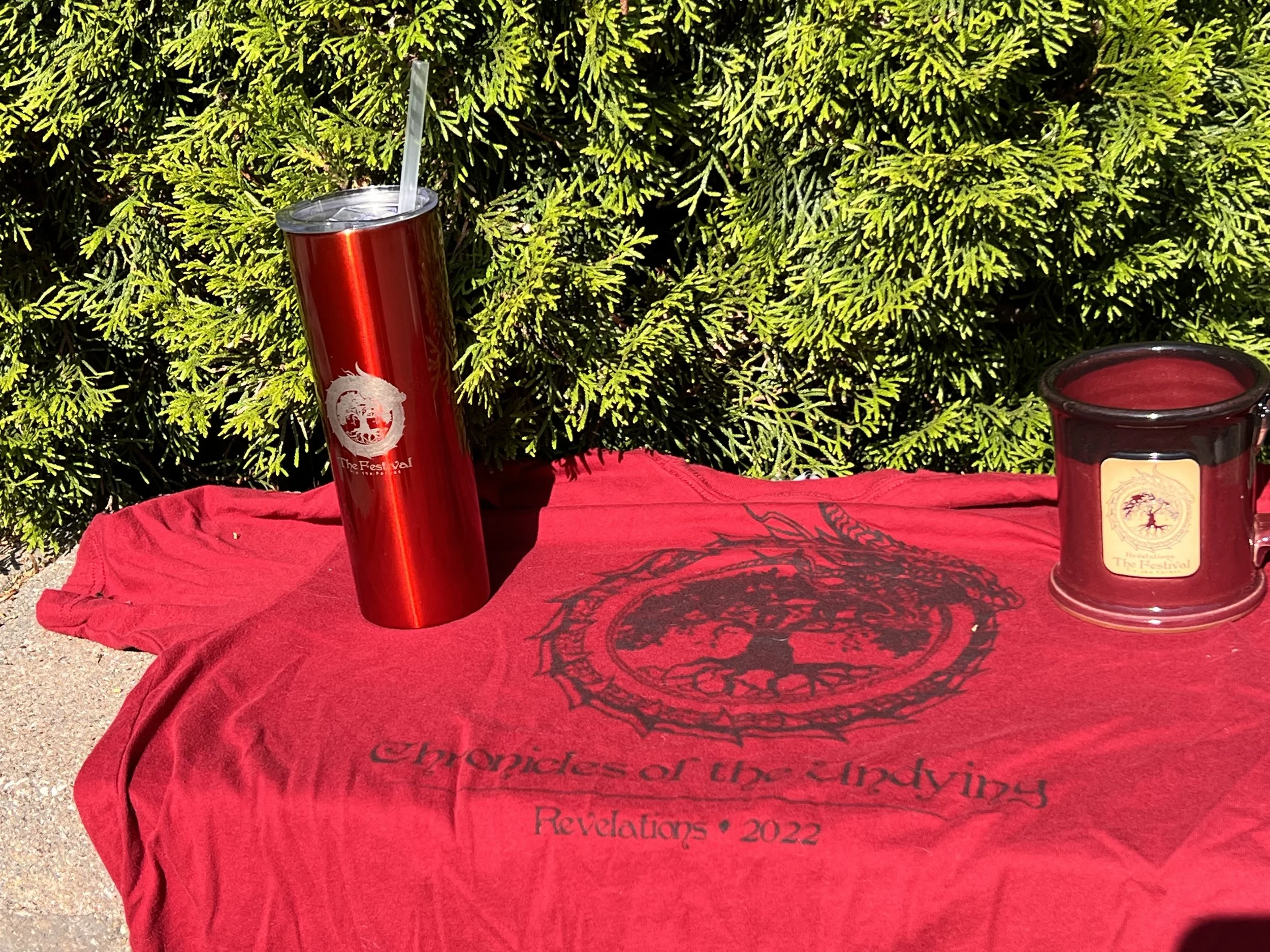 PRE-ORDERS For T-Shirts and Festival Mugs!