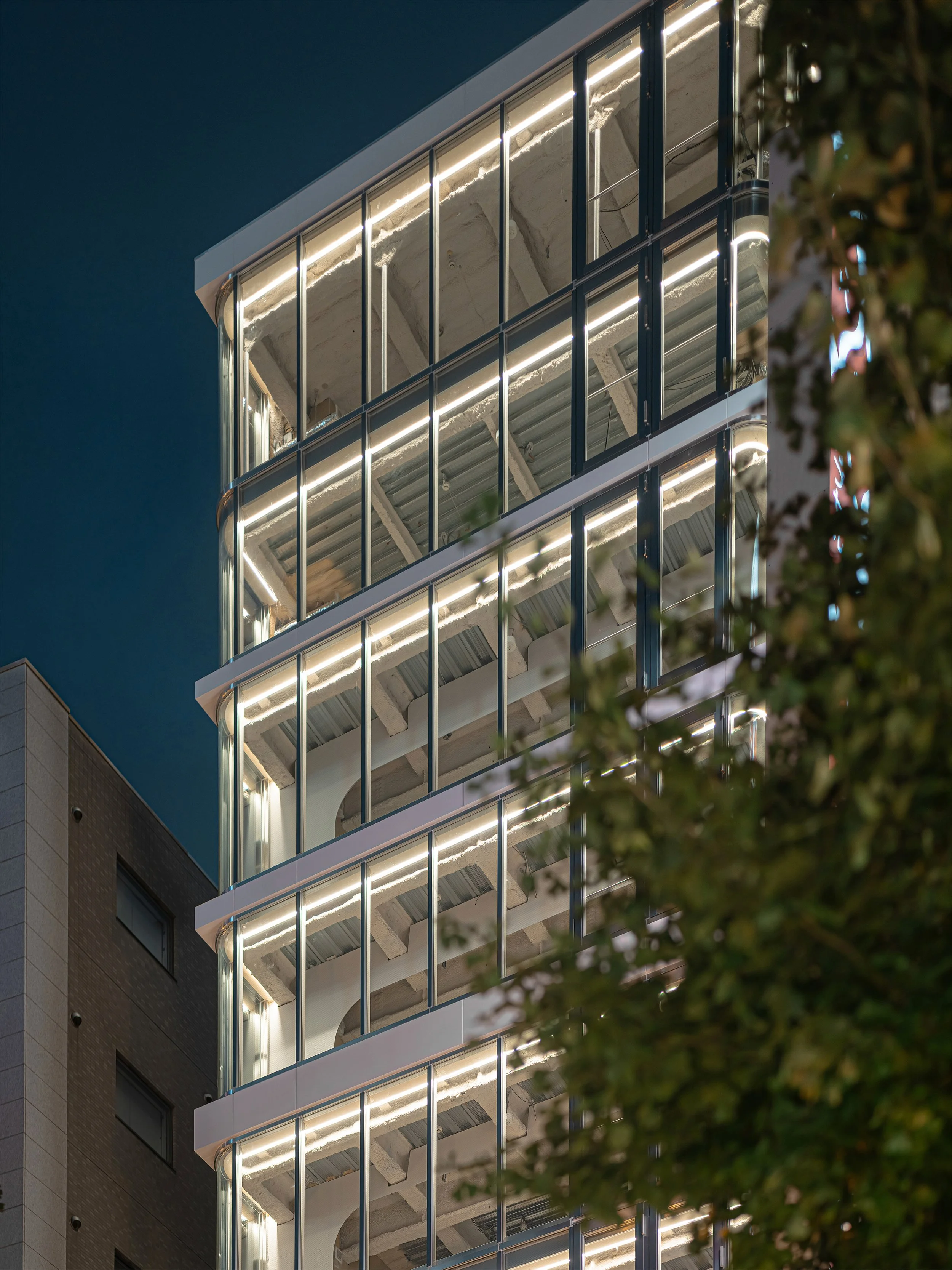 B0080384(edited) copy.jpg