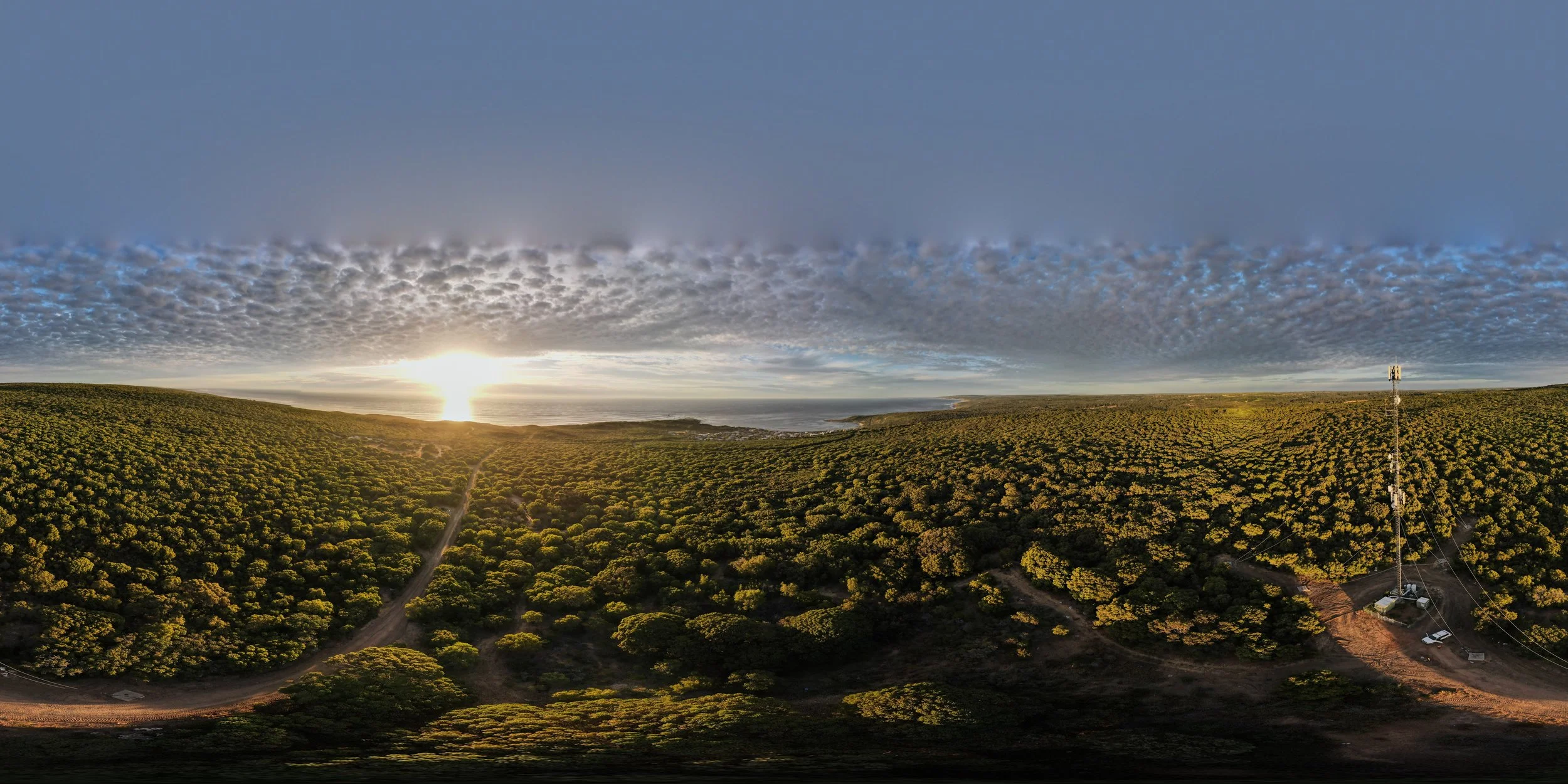 Gracetown Surf Guide – A Hidden Gem Near Margaret River