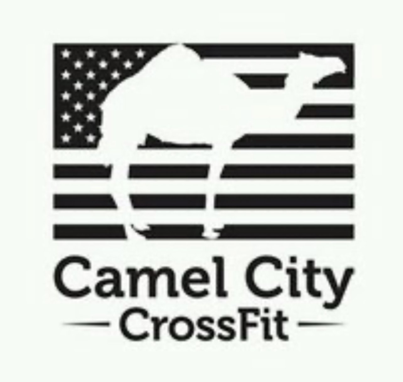 CamelCityCrossFit.com