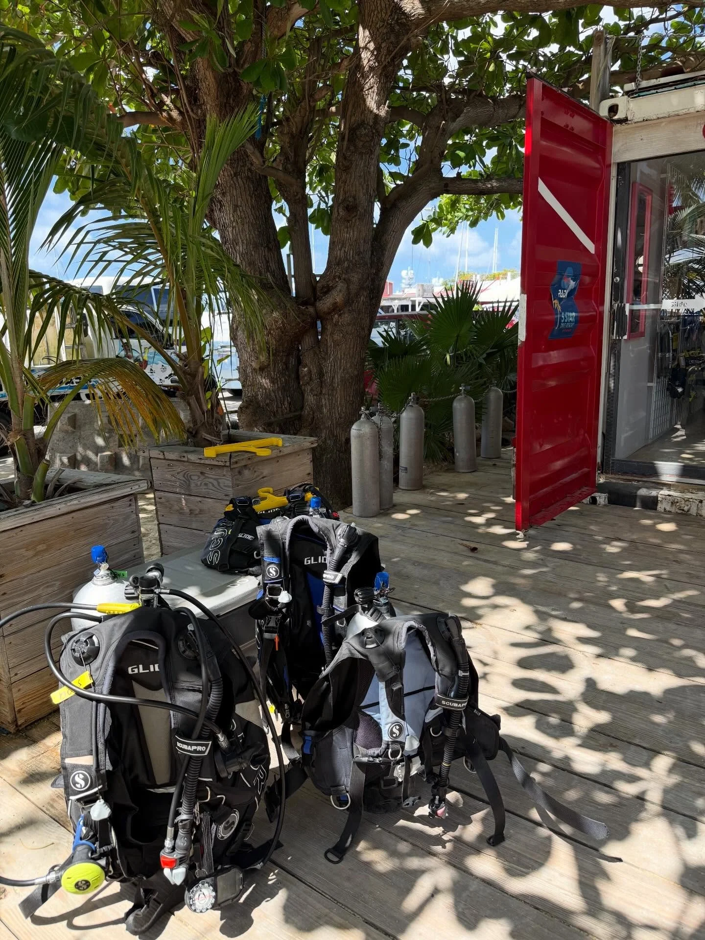 March madness is two back-to-back Caribbean trips 🌴So fun and also so happy to be home ☺️ Grateful is an understatement!