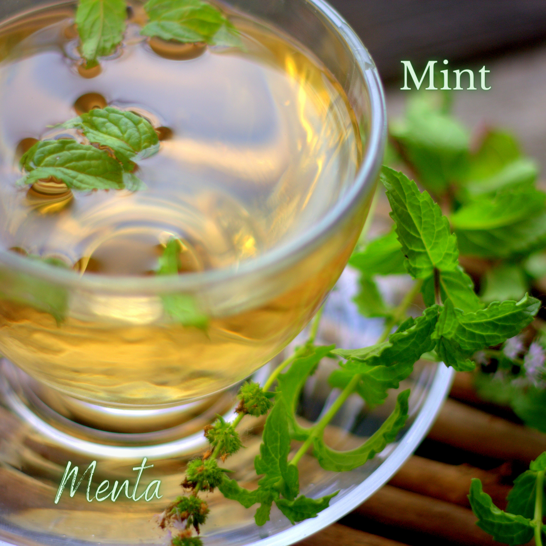 Lung Supportive Herbs - 3.PNG